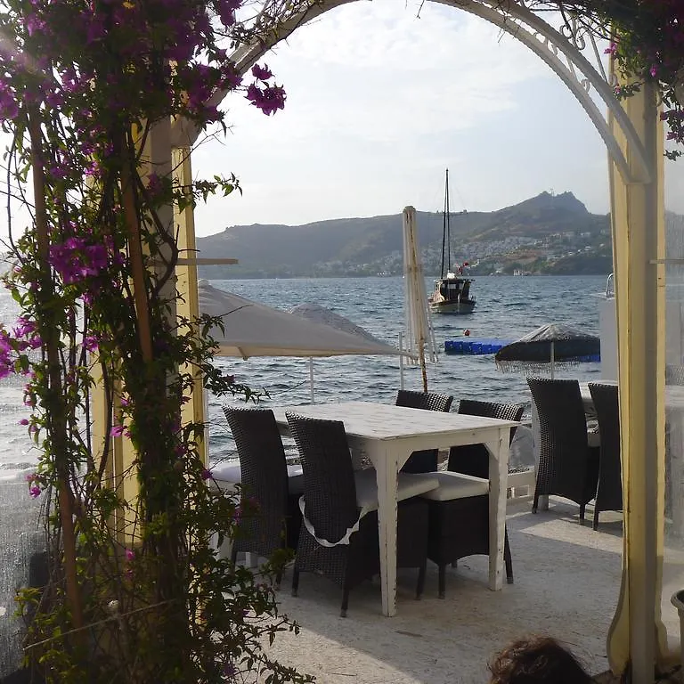 Aparthotel Platinum Beach Apartments Yalikavak Turkey