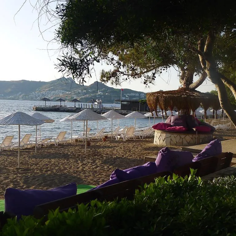 Platinum Beach Apartments Yalikavak